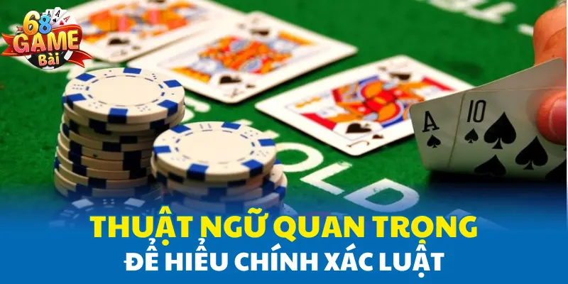 Thuật ngữ quan trọng để hiểu chính xác luật